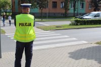 Policjant Wydziału Ruchu Drogowego przy przejściu dla pieszych.