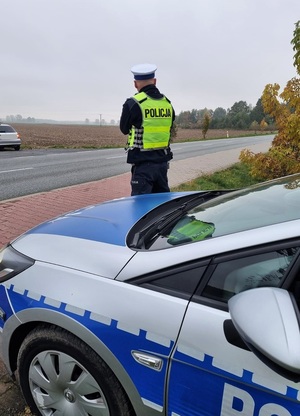 Policjant stoi tyłem, obserwuje jeżdżące drogą samochody, za nim stoi zaparkowany radiowóz.