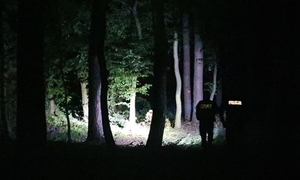 Noc, las, policjanci świecą latarkami, szukają osoby zaginionej.