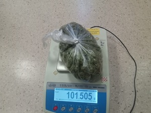 Waga elektroniczna, a na niej susz roślinny zapakowany w foliową torebkę. Waga pokazuje 101,505 gram.