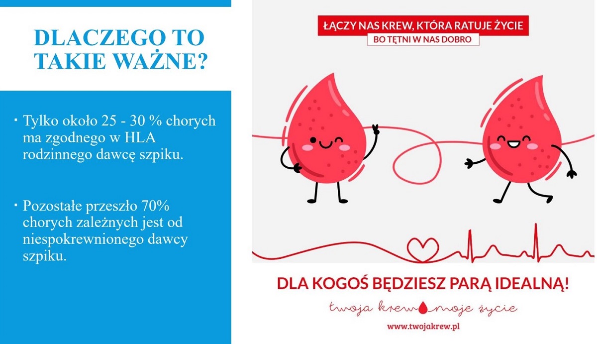 Grafika. Napis: Dlaczego to takie ważne? Tylko około 25-30 % chorych ma zgodnego w HLA rodzinnego dawcę szpiku. Pozostałe przeszło 70% chorych zależnych jest od niespokrewnionego dawcy szpiku.