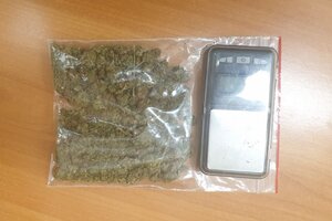 zabezpieczony susz roślinny oraz waga elektroniczna