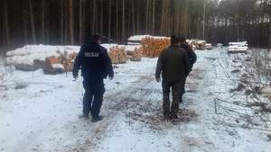 Policjant i strażnicy leśni patrolują teren leśny.