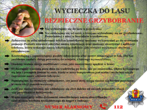 Plakat zawierający logo łódzkiej policji oraz przedstawia grzyby. Ponadto widnieje tekst zawierający zasady bezpiecznego grzybobrania.