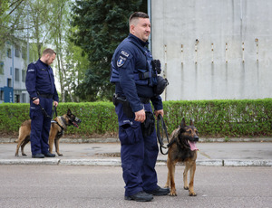 Zduńskowolski przewodnik z psem.