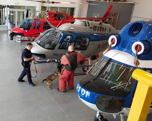 Hala w której są śmigłowce. Policjant trzyma psa na smyczy, który szarpie się do pozoranta.
