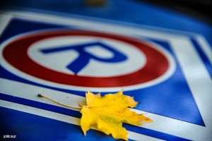 Logo ruchu drogowego - litera R, a obok leży jesienny liść.