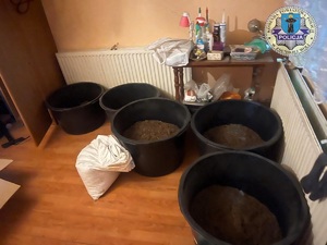 Pomieszczenie, na podłodze stoją wielkie miski w których jest krajanka tytoniu, na ścianach wiszą grzejniki, na ławie nieporządek.