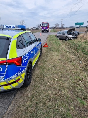 Przy drodze, zaparkowany radiowóz. W tle widać leżące samochody w rowie i wóz strażacki stojący dalej.