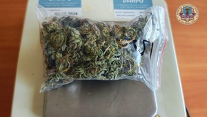 Na wadze elektronicznej, w strunowej torebce suszona marihuana.