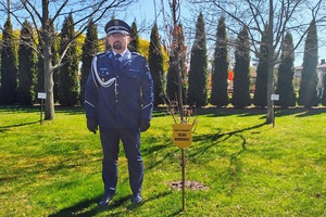 Policjant stoi obok tabliczki i małego wsadzonego dębu.