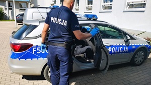 Policjant stoi przy radiowozie w którym siedzi zatrzymany.